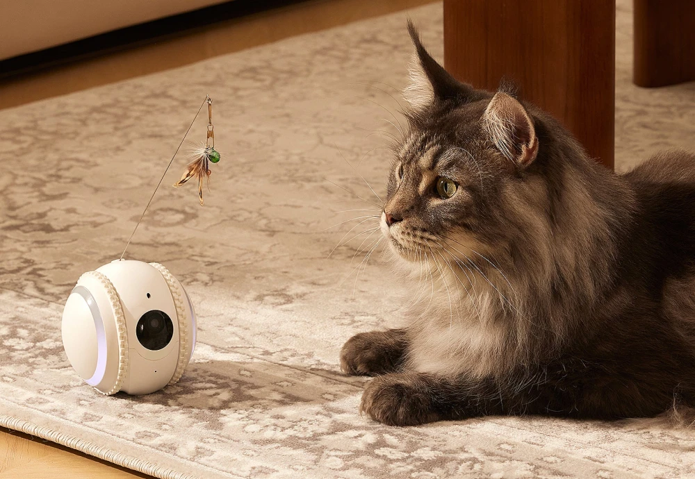 interactive pet camera for cats