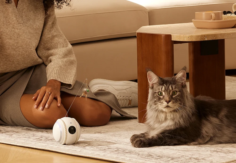 best indoor camera for watching pets