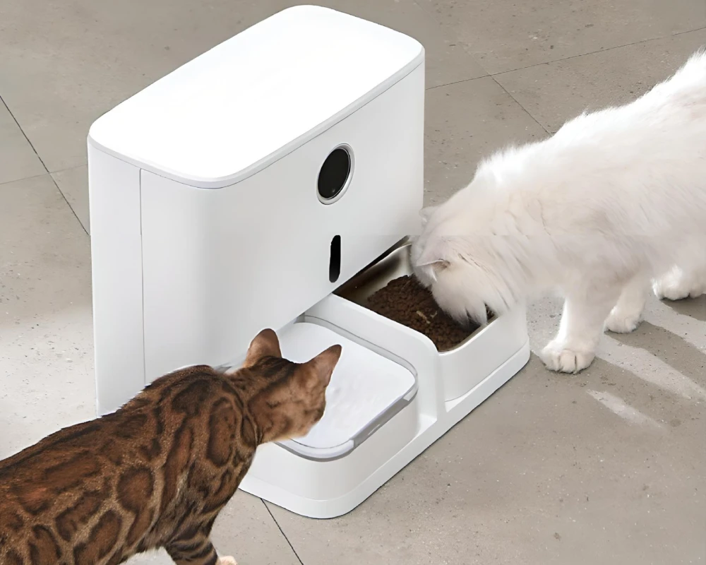 automatic pet feeder and waterer