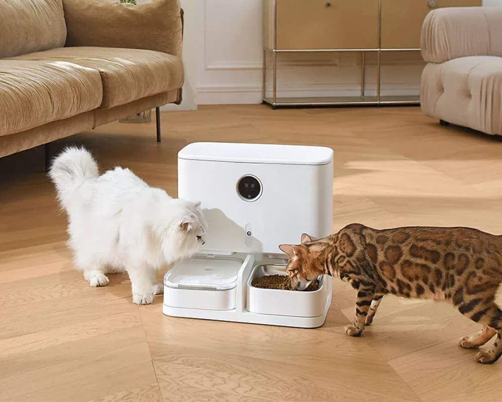 automatic small pet feeder