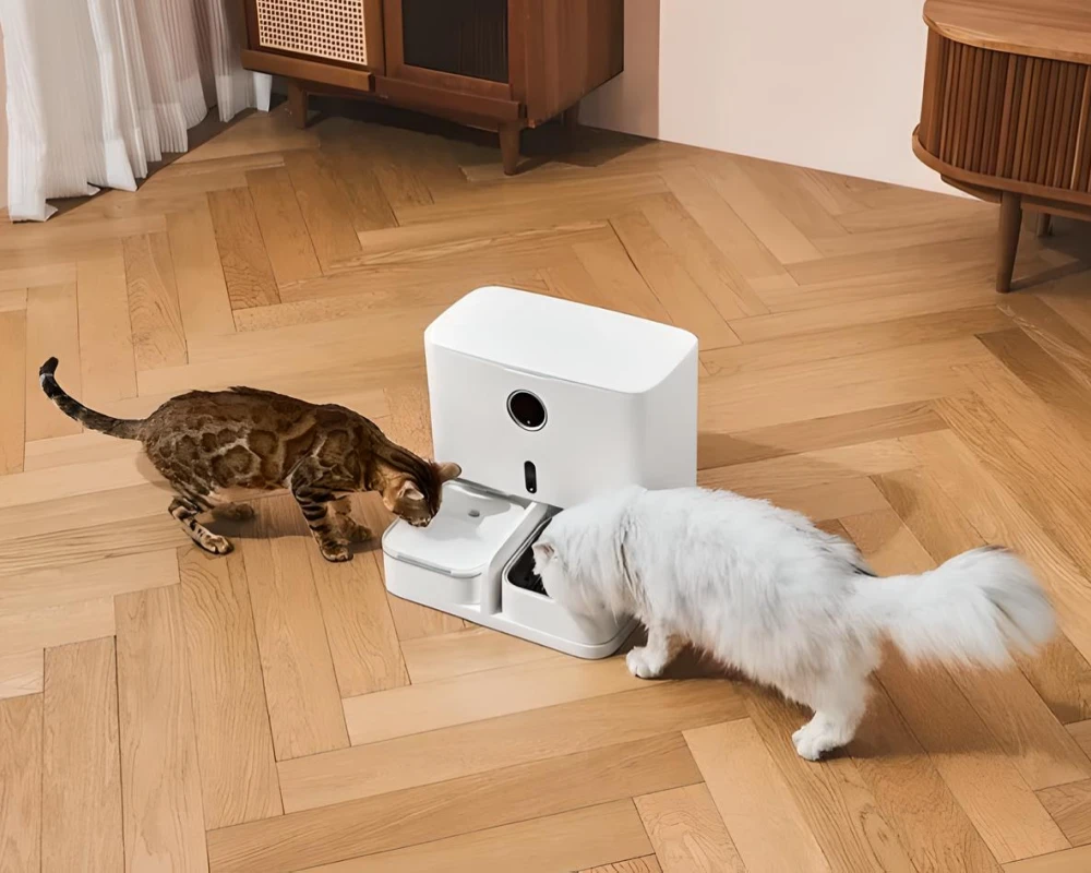 automatic small pet feeder